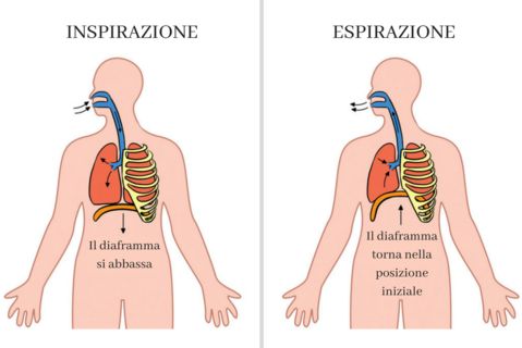 Respiración