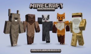 Skin Pack