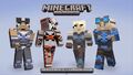 Skin Pack