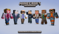 Skin Pack