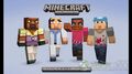 Skin Pack