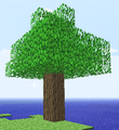 Albero