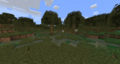 Tutoriels/Meilleurs biomes pour les maisons