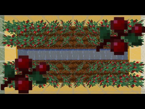 Tutoriales / Cultivo de frutos rojos