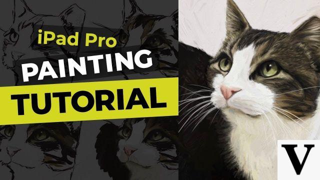 Tutorials / Cattery