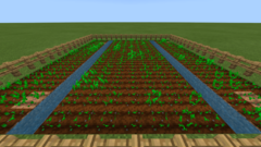 Tutoriales / Cultivo de cultivos