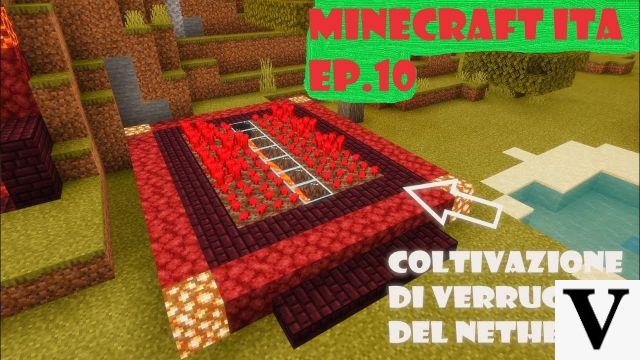 Tutorial/allevamento di verruche del Nether