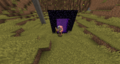 Portal Nether