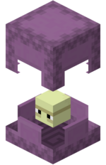 Shulker