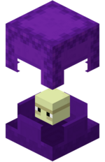 Shulker