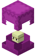 Shulker