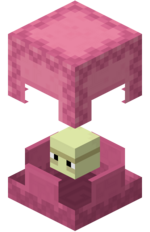 Shulker