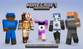 Pack de peau