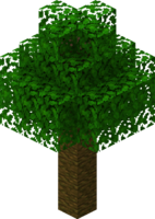 Árbol de la selva