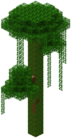 Árbol de la selva