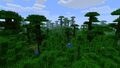 Árvore da selva