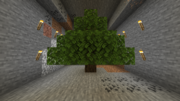 Arbre