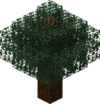 Arbre