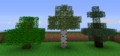 Arbre