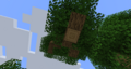 Arbre