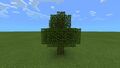 Arbre