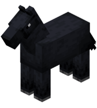 cavalo