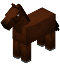 cavalo