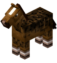 cavalo