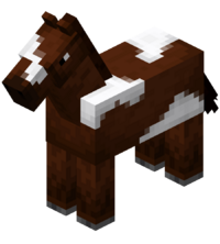 cavalo