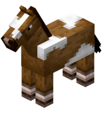 cavalo