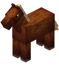 cavalo