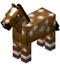 cavalo