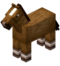 cavalo