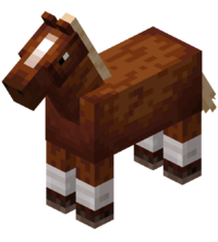 cavalo