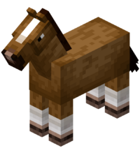 cavalo