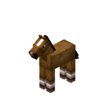 cavalo