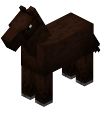 cavalo