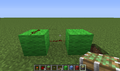  di Minecraft: Problemi/1.2.5