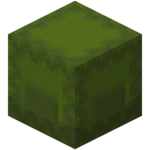 Caja Shulker